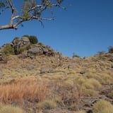 Markers lead up the escarpment 