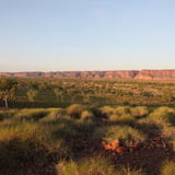 Kungkalanayi Lookout Purnululu N P D B C A 1