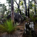Portagabra Track - Granite Boulders