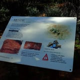 Interpretive signage
