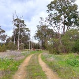 Harvey River Ramble Trail 2 K Fawcett