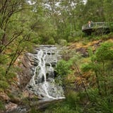 Beedalup Falls Lookout Frances Andrijich