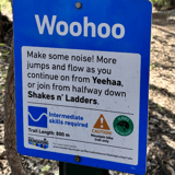 Woohoo Lake Leschenaultia
