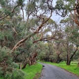 Forrestdale Lake Forrestdale P H A V C 13