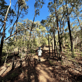 Trail2 Glen Brook Trail Jfnp K.stevens