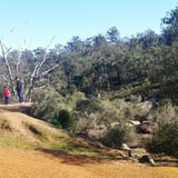 John Forrest NP Geotrail - upstream valley profile
