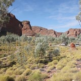 The Bloodwoods Purnululu N P D B C A 2