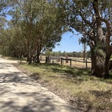 Colins Rd - Brunswick to Wokalup Ale Trail.png