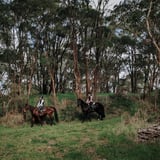 Robinson Loop Robinson Road. Stidwell Bridle Trail 13