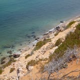 Cormorants along the coast