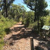 Mount Pingerup D' Entrecasteaux N P C Soord 2