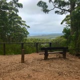 Hilltop Lookout Giant Tingle Tree Trail4 Csoord