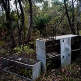 Old bird smugglers camp thought
to have ceased operation 20-30 years ago. 