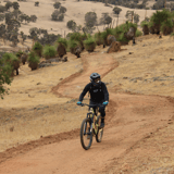Eweturn3 Bindoonmtb Park Jo Larvin