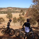 Ewe Choose 2 Bindoonmtb Park Jo Larvin.jpg