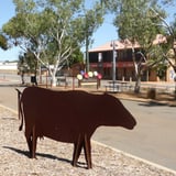 The Old Stock Route Trail starts in Mullewa - 100kms east of Geraldton.