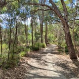 Henley Bushland Walk Trees - City of Kwinana.jpg