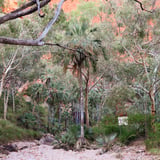 Escarpment Trail Purnululu N P D B C A 2