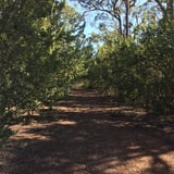 A mostly wide comfortable path makes this a family friendly walk