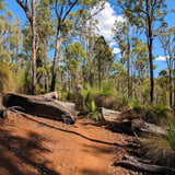 Island Pool Walk Trail Track Lane Poole Reserve Visit Dwellingup