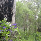 Campground Loop, Shannon Np Bron Anderson (1).Jpg
