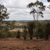 Chinkabee2 Bindoonmtb Park Jo Larvin.jpg
