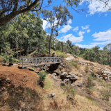 Blindside 1 Tank 7 Aaron Azza Black