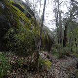 Mt Burnett4 Frankland Np Bron Anderson