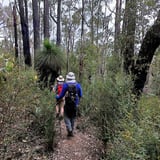 King Jarrah Trail 5 Bronwyn Wells
