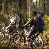 Pinch Track4 Pemberton Mtb Park Pemberton Cycling Association