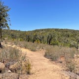 Noolbenger Trail Nuytsia D B C A