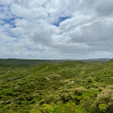 Bibb Track1 Conspicuous Cliff Walpole Kstevens