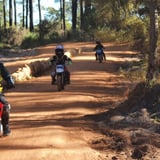 Get the young ones up and running on this easy loop.