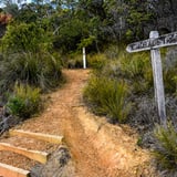 There are some short steep climbs and quite a few steps.