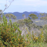 View from Mt Clare