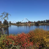 The grounds in front of the stadium are full of natives which look spectacular in Spring (August to November)