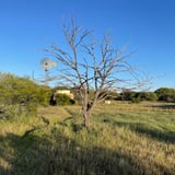Judy's Windmill_Walk Trail 2_Wooleen Station