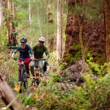 Chinwag Giants Trails4 Credit Flow Mtb