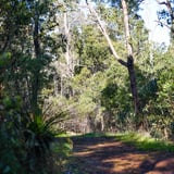 Prickly Moses Trail Lloyd Hughes Park P H A V C 3