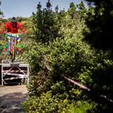 The top part of the race track that makes up the Albany Urban DH race