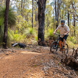 This is the kind of trail you can take the entire family to ride