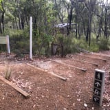 Mt Lindesay Mt Lindesay N P C S Soord 2