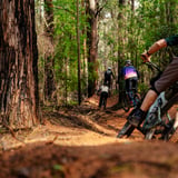 The Arboretum Flowmtb (4)