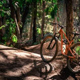 The Arboretum. Sean Tysoe (2)