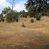 Black Sheep2 Bindoonmtb Park Jo Larvin.jpg