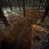 Loamy singletrack