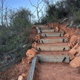 Numbat Trail1 Paruna Tiff Watson