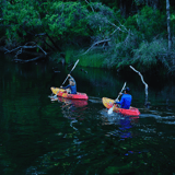 Honeymoon Pool Kayak Trail1 Wellington Np Russel Ord