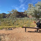 The Bloodwoods Purnululu N P D B C A 3