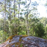 The Rocks Walktrail, Shannon Np Bron Anderson (3).Jpg